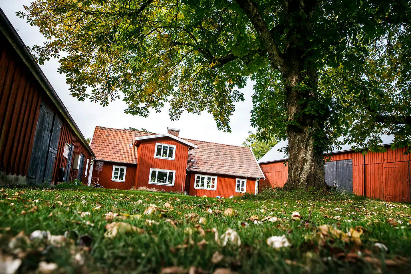 Mange svenskere flyttede på landet under coronakrisen, hvilket har været med til at presse priserne på store huse i byerne. Arkivfoto: Jeppe Bjørn Vejlø