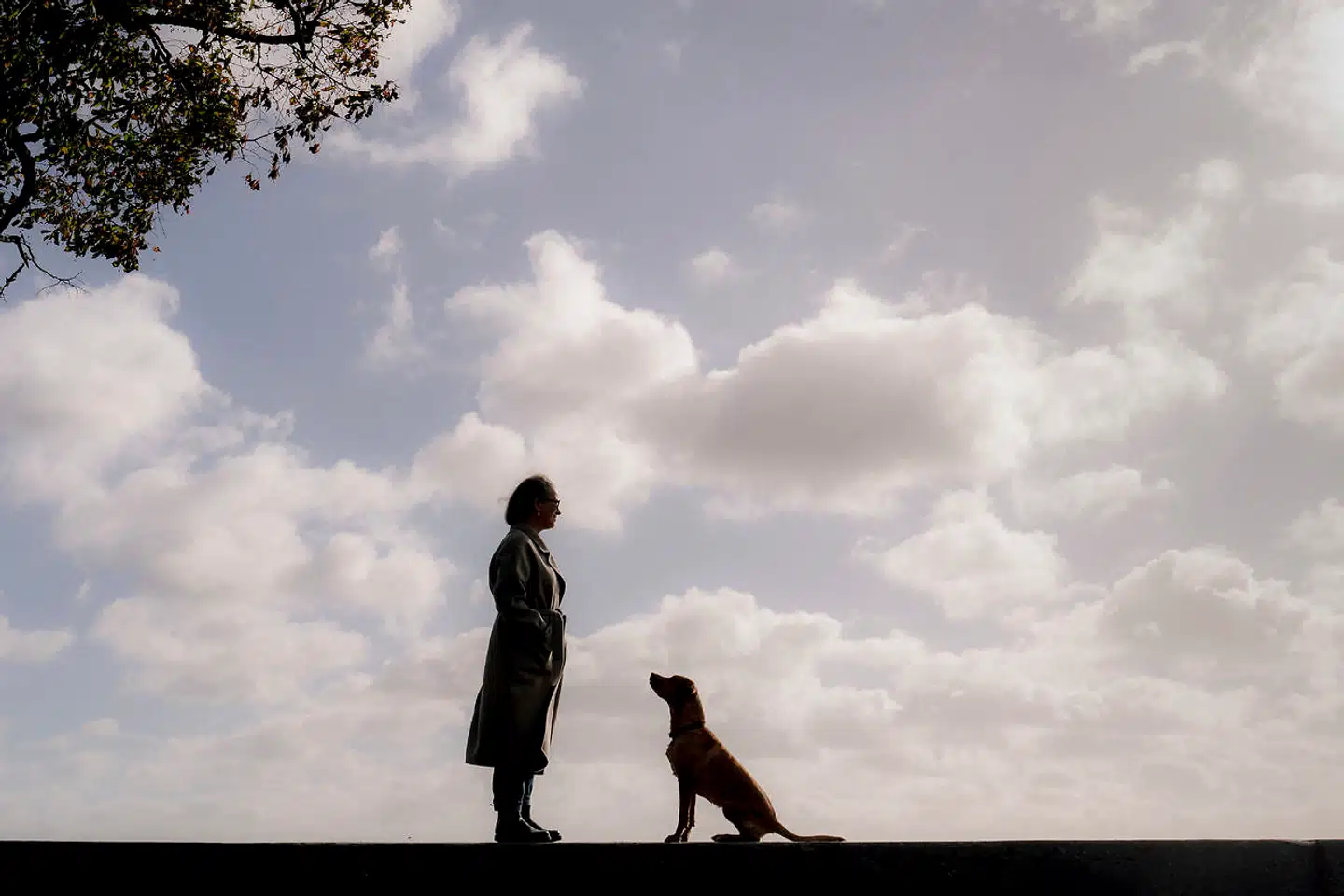 Spørger man Nina Reventlow (58), hvad hun har lært af at blive ældre, lyder svaret: »At livet er kort. Jeg har allerede levet to tredjedele af mit liv. Når man er ung forekommer livet uendeligt. En læring af at blive ældre er, at det er det ikke. Derfor bliver det mere og mere vigtigt at bruge tiden på en god måde.« Her fotograferet med hunden Maggie.