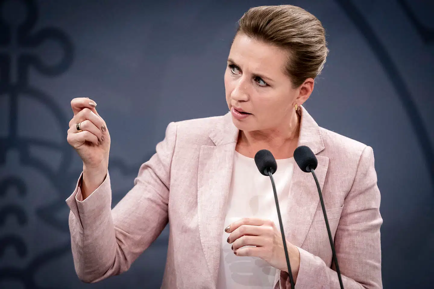 I et brev til Folketingets formand udtrykker en samlet blå blok bekymring for det, de betragter, som et ønske fra statsministeren om at fortsætte Folketingets arbejde under en valgkamp. Arkivfoto: Mads Claus Rasmussen/Ritzau Scanpix