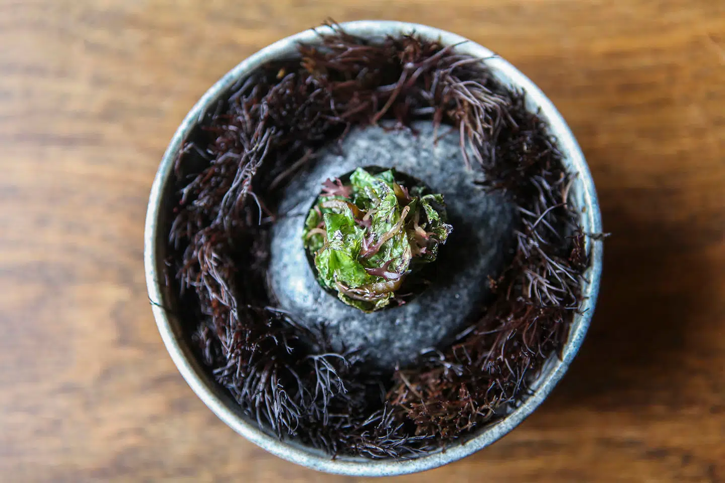 Tærte med tang og sælblod.