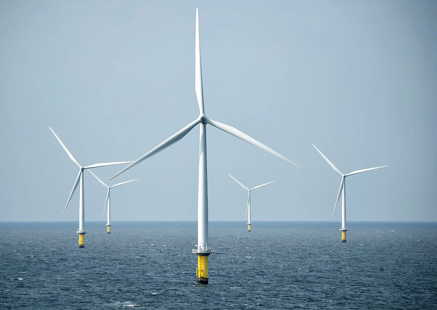 En plan om 220 meter høje havvindmøller i Køge Bugt møder kritik fra lokale kræfter på Stevns.