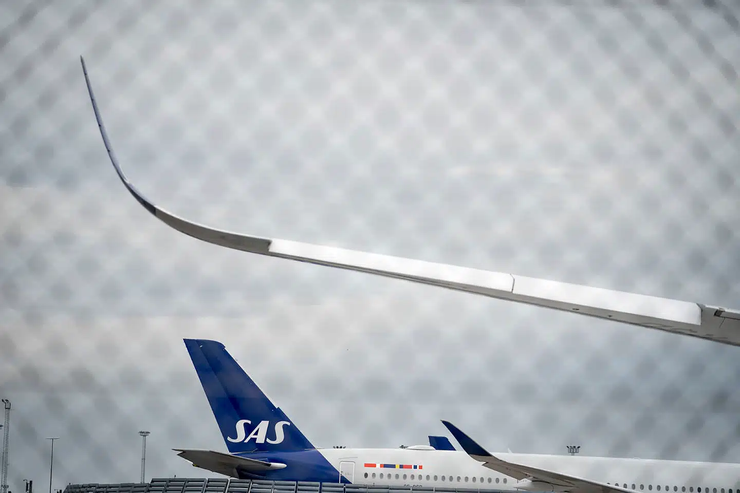 »Hvis SAS ikke må reklamere for sine flyrejser vil forbrugerne jo bare orientere sig mod de selskaber, de netop har set reklamer for,« skriver Mona Juul.