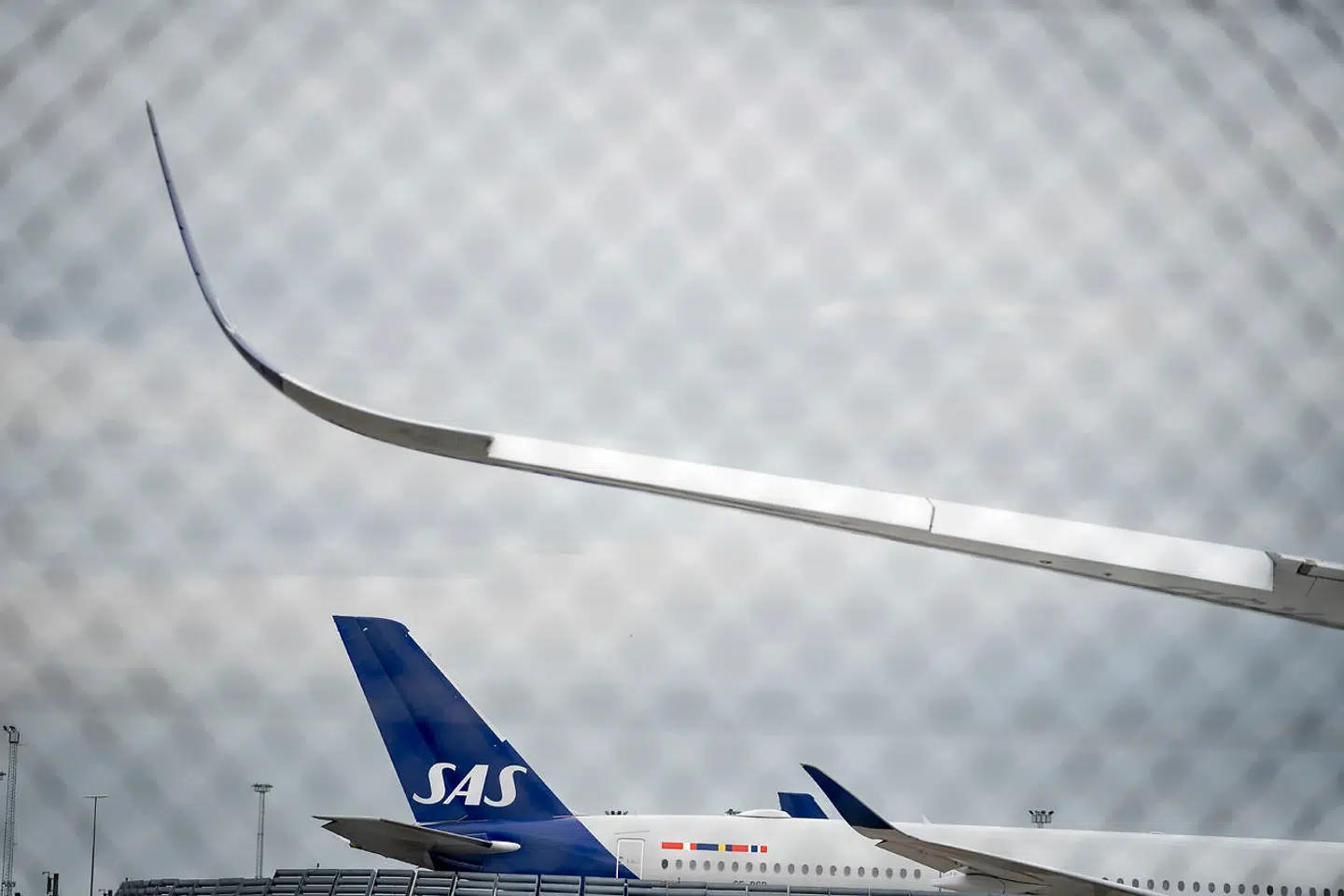 »Hvis SAS ikke må reklamere for sine flyrejser vil forbrugerne jo bare orientere sig mod de selskaber, de netop har set reklamer for,« skriver Mona Juul.