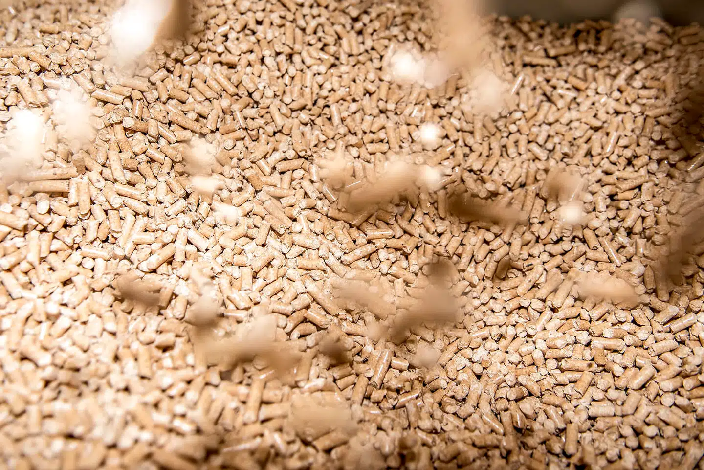 Manglen på træpiller har fået priserne til at stige gevaldigt. En borger fortæller til TV 2, at hans regning kommer til at stige fra 18.000 til 51.000 kroner i år.