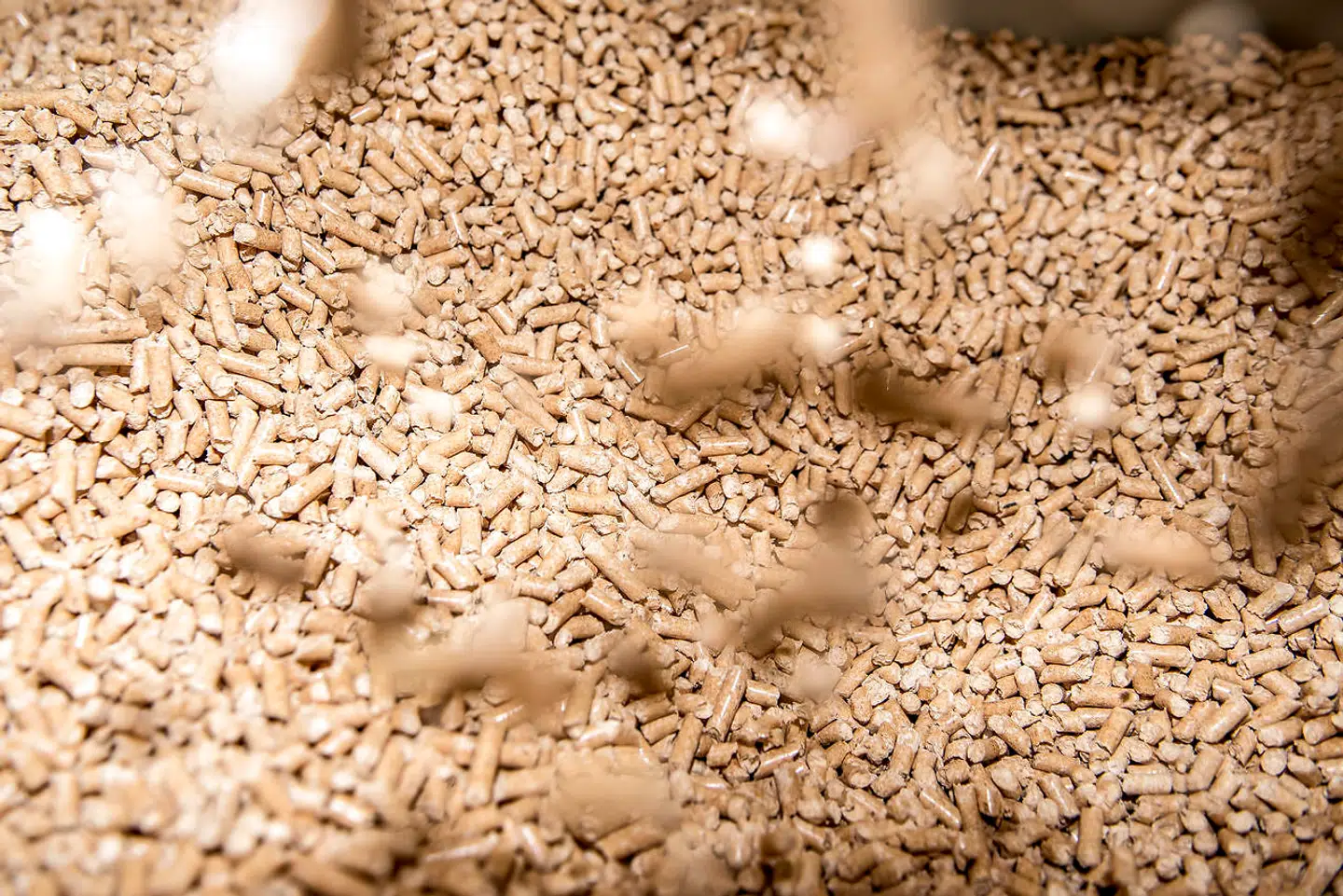 Manglen på træpiller har fået priserne til at stige gevaldigt. En borger fortæller til TV 2, at hans regning kommer til at stige fra 18.000 til 51.000 kroner i år.