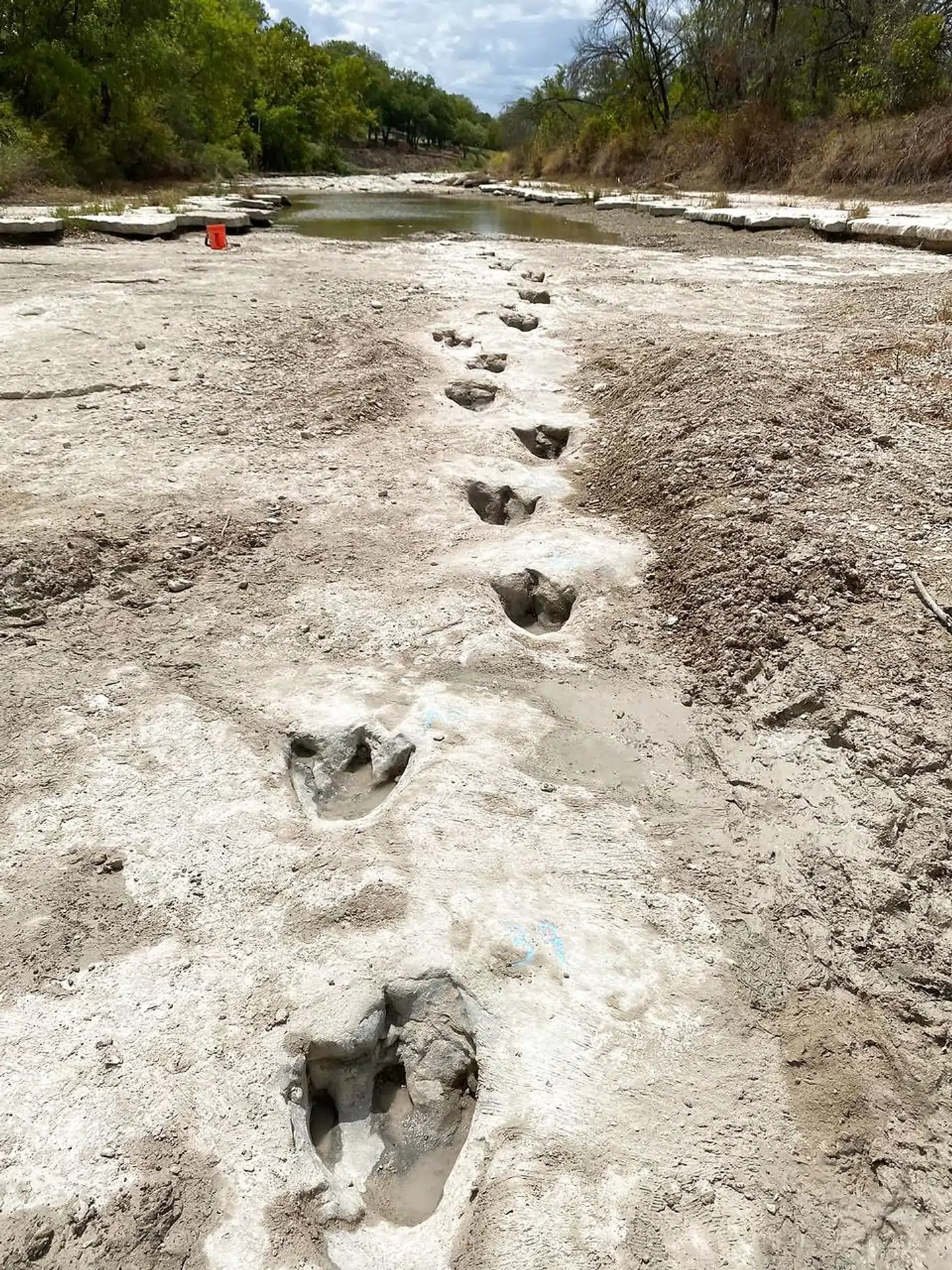 Dinosaursporene, der er 113 millioner år gamle, er blevet opdaget i en udtørret flod i Texas i USA, efter en alvorlig tørke udtørrede en flod.