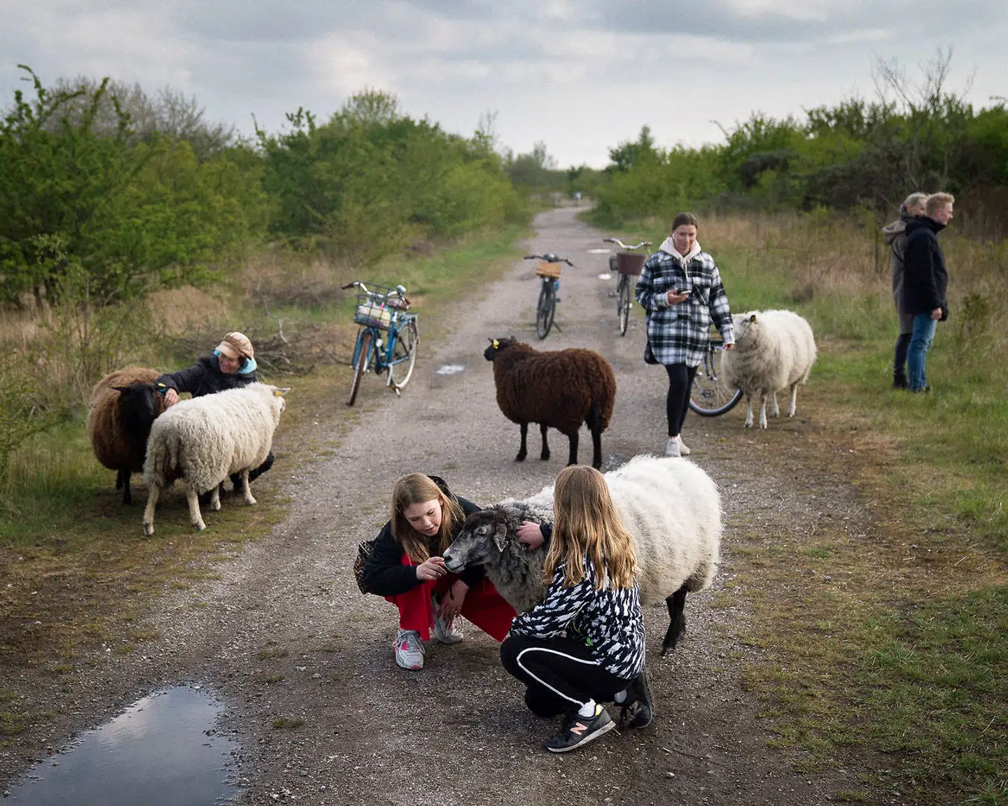 Pavillonbyen skal opføres i området ved Sydhavnstippen. Et rekreativt område, som bruges flittigt af beboere og huser flere dyr.