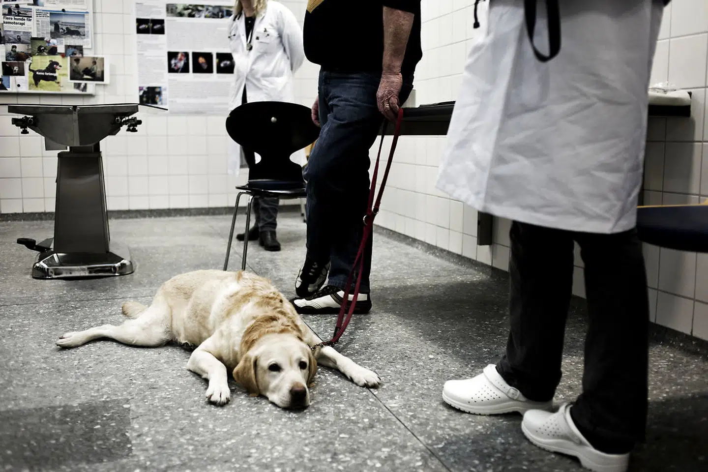 Prisen for en såkaldt enkeltkremering afhænger af dyrets vægt, og om man ønsker asken udleveret i pose eller urne, skriver Kristeligt Dagblad.