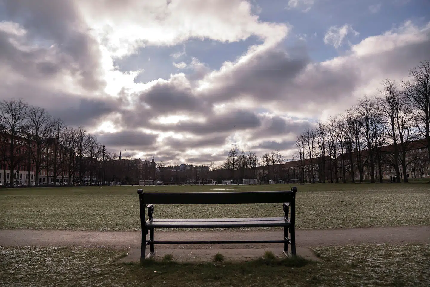 Danmarks Naturfredningsforening satte en stopper for den nye fodboldbane i Nørrebroparken. Nu vil Venstre undersøge, om beslutningen kan omgøres.
