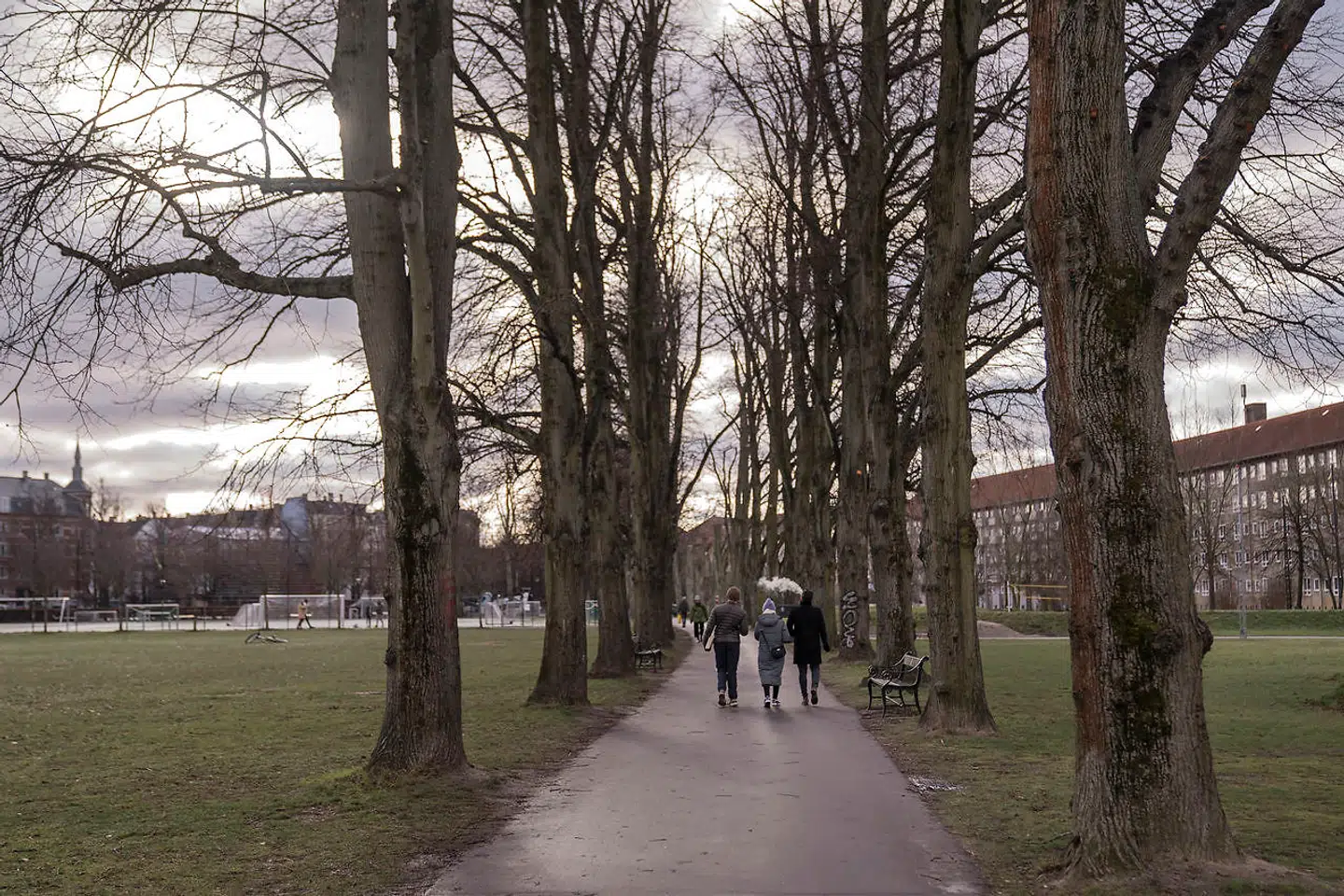 »Vi anerkender fuldt ud, at København mangler idrætsfaciliteter. Men vi mener til gengæld ikke, at udbygning af idrætsfaciliteter skal ske på bekostning af de knappe grønne områder, som københavnerne har til rådighed.«