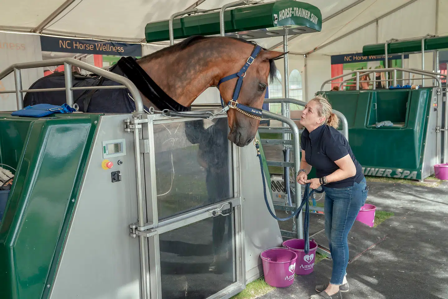 Springhesten Chalisco, som rides af danske Emil Hallundbæk – som er på det danske landshold – er en tur i spabad efter dagens træning. Vandet, hesten står i, er kun to grader varmt, er sundt for hestens led og øger blodcirkulationen. Det er vigtigt under et VM, hvor hestens fysik bliver presset til det yderste.