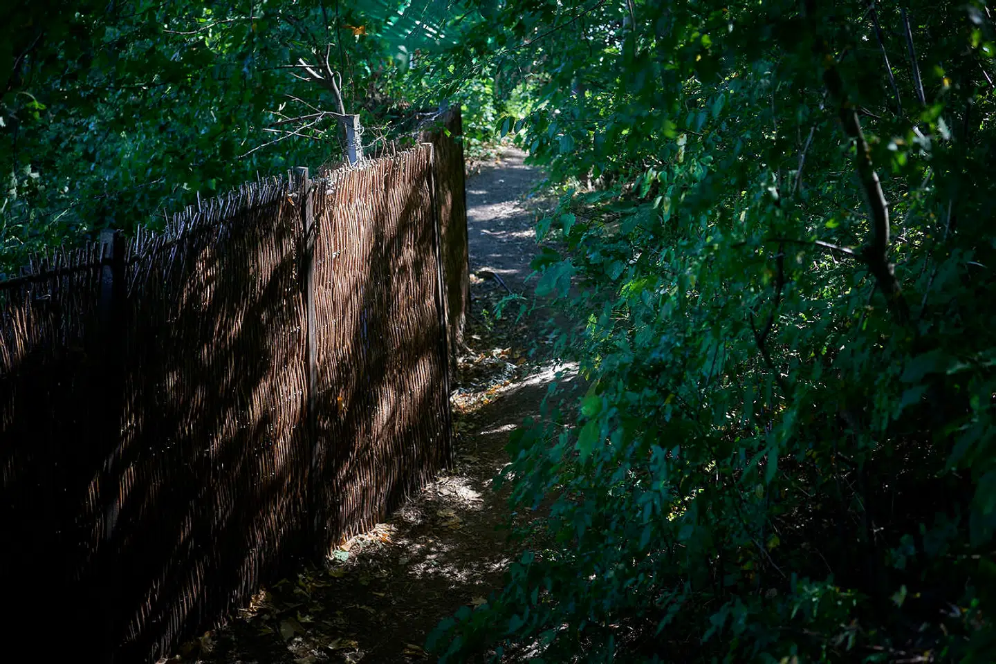 Christianshavns Vold er et populært område for gå- og løbeture.
