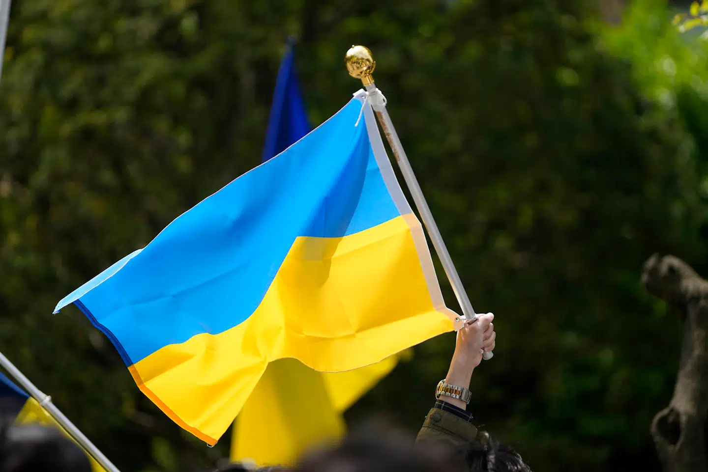 De, der donerer penge til den ukrainske hær, kan ikke selv bestemme, hvad der skal være på de billeder, de modtager.