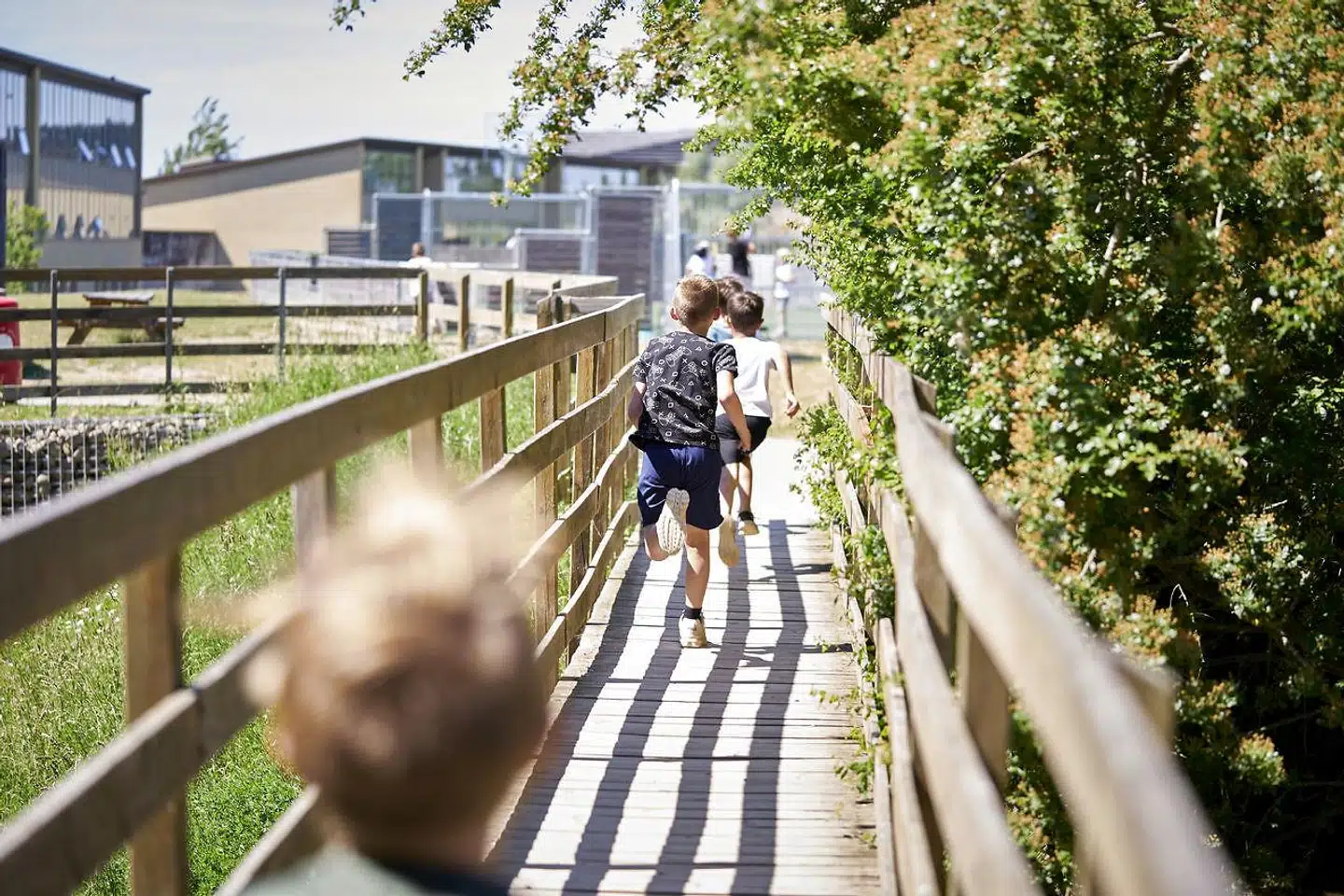 »Der findes ikke et quickfix. Vi har i Danmark debatteret udfordringer ved ulighed i uddannelse i flere årtier. Løsningerne er med al sandsynlighed komplekse, og det kan tage mange år, før vi kan se effekter af reformer – selv hvis ændringerne virker efter hensigten,« skriver Rasmus Landersø.