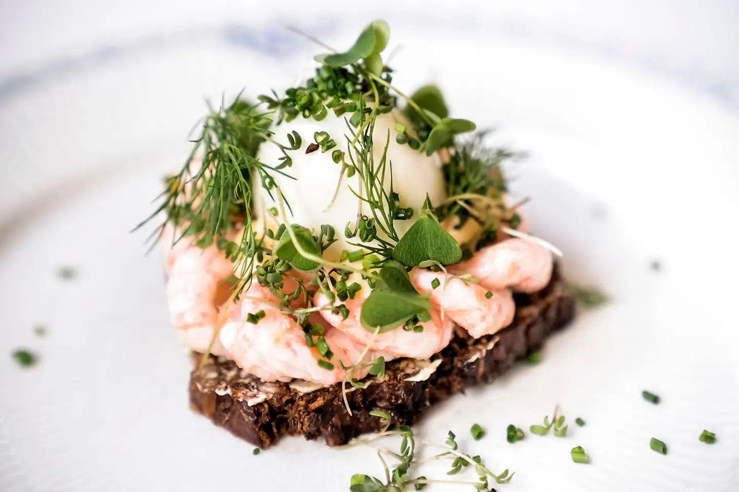 Søkogte rejer og kogt æg på Restaurant Lumskebugten.