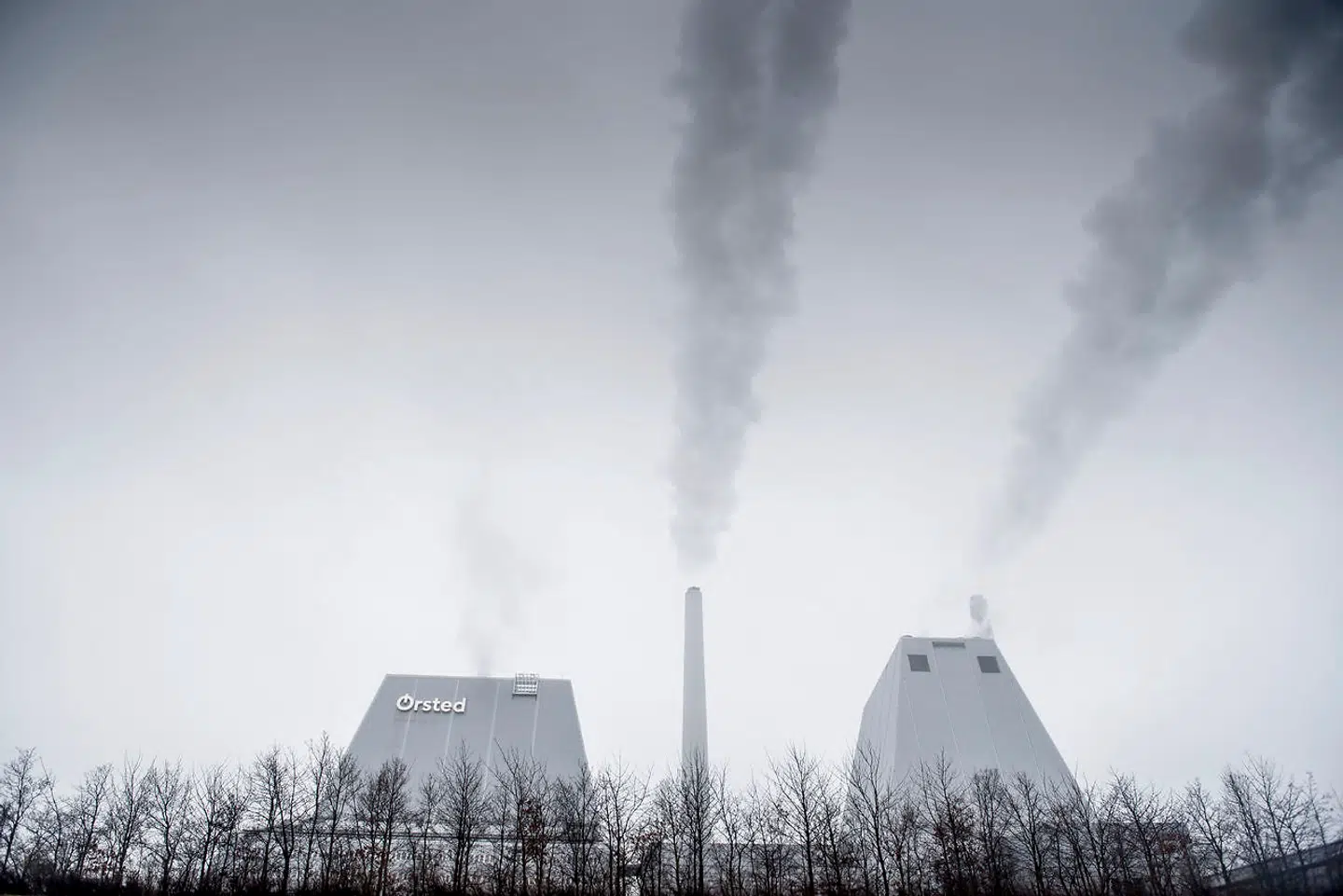 Arkivfoto: Flere kraftværker har skiftet kul ud med træ, træflis, træpiller og halm. Men det har ikke umiddelbart gavnet klimaet.