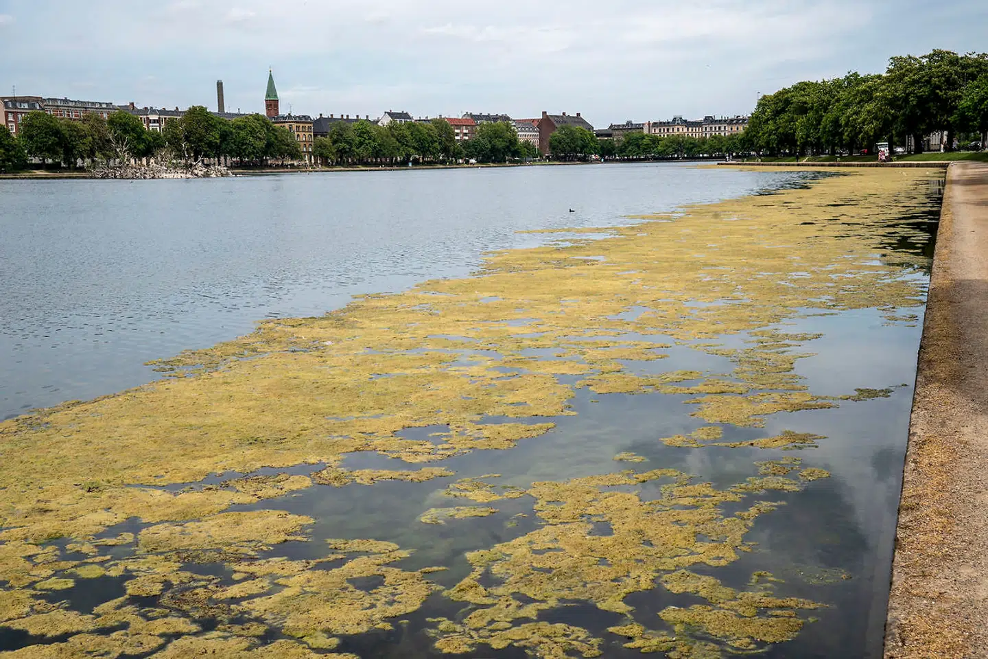 »Vi er vidner til grov, kommunal misrøgt. Området, hvor Sortedam Dossering møder Østerbrogade, er et populært caféområde, der med lidt hjælp kunne kvalificere til en stjerne eller to mere. Et åndehul på Østerbro,« skriver Jørn Astrup-Hansen.
