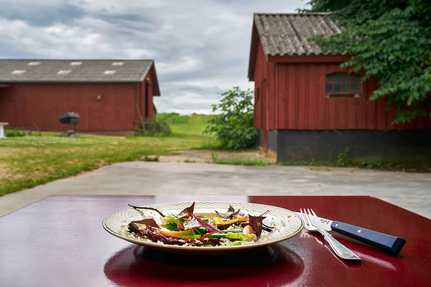 Garni fra marken i baggrunden.