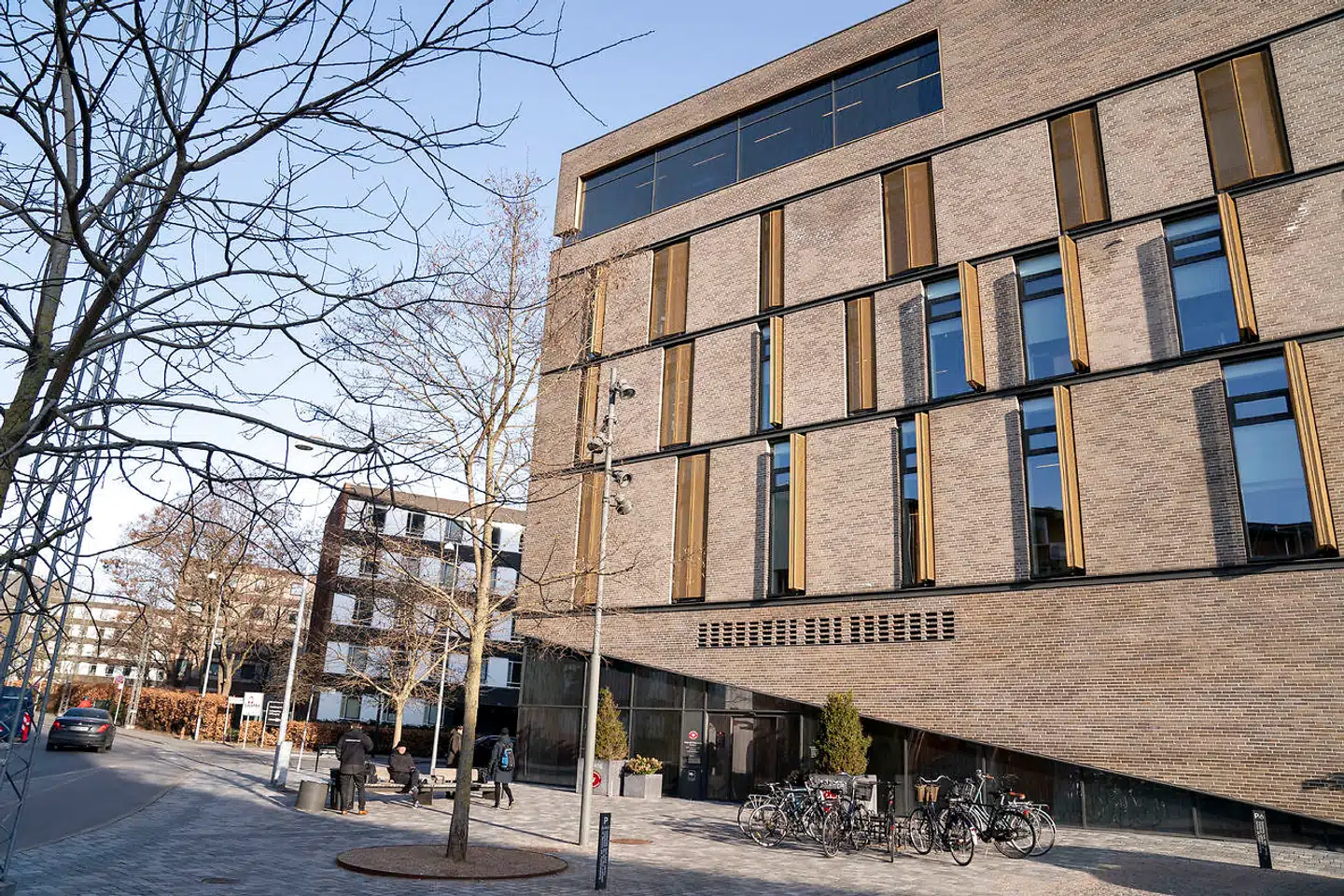 To mænd blev fremstillet i grundlovsforhør efter et særdeles groft overfald på Frederiksberg tirsdag aften. Grundlovsforhøret fandt sted ved Retten på Frederiksberg.
