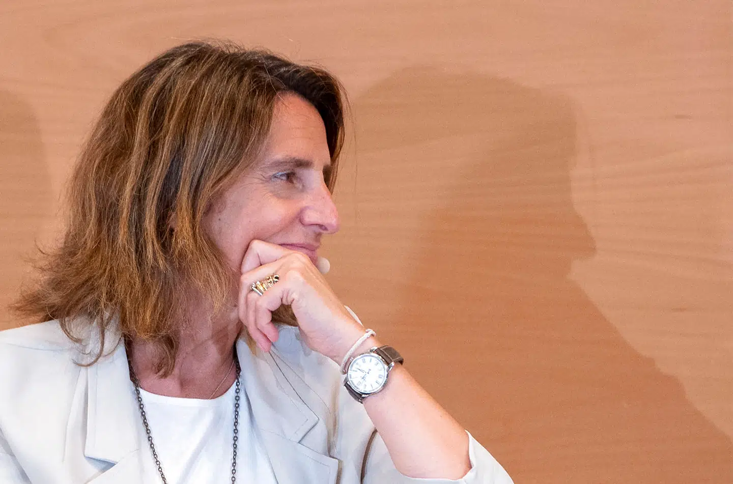 Teresa Ribera er kendt som en saglig og lidt nørdet politiker. Men da den spanske minister for grøn omstilling forleden skulle gøre rede for landets nej til en gasspareplan, kunne hun ikke nære sig for at minde tyskerne og andre »nøjsomheds-nordeuropæere« om, at det denne gang er dem, som har levet over evne.