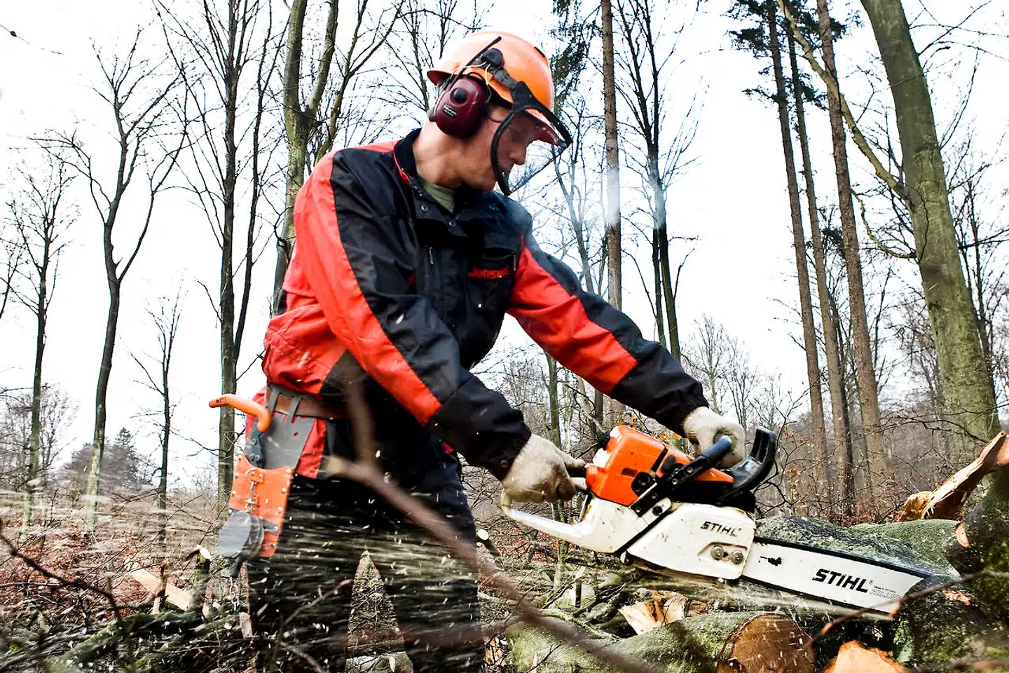Ikke meget af det brænde, der luner i danske brændeovne, stammer fra Danmark. En stor del af det er hidtil blevet fældet i Rusland, Belarus og Ukraine, hvilket efter krigens udbrud har været med til at presse prisen i vejret.