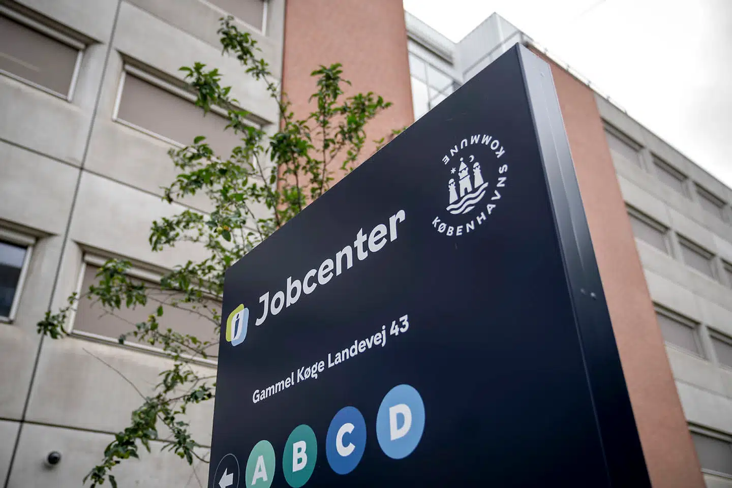 Arkivfoto: Fra april til maj steg beskæftigelsen med 8000 personer, oplyser Danmarks Statistik.