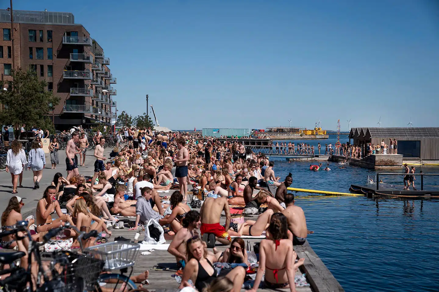 Arkivfoto. Hedebølger vil i fremtiden ramme Danmark oftere og oftere, mener DMI. Derfor er det nødvendigt at plante flere skyggegivende træer og planter i København, mener byens politikere.
