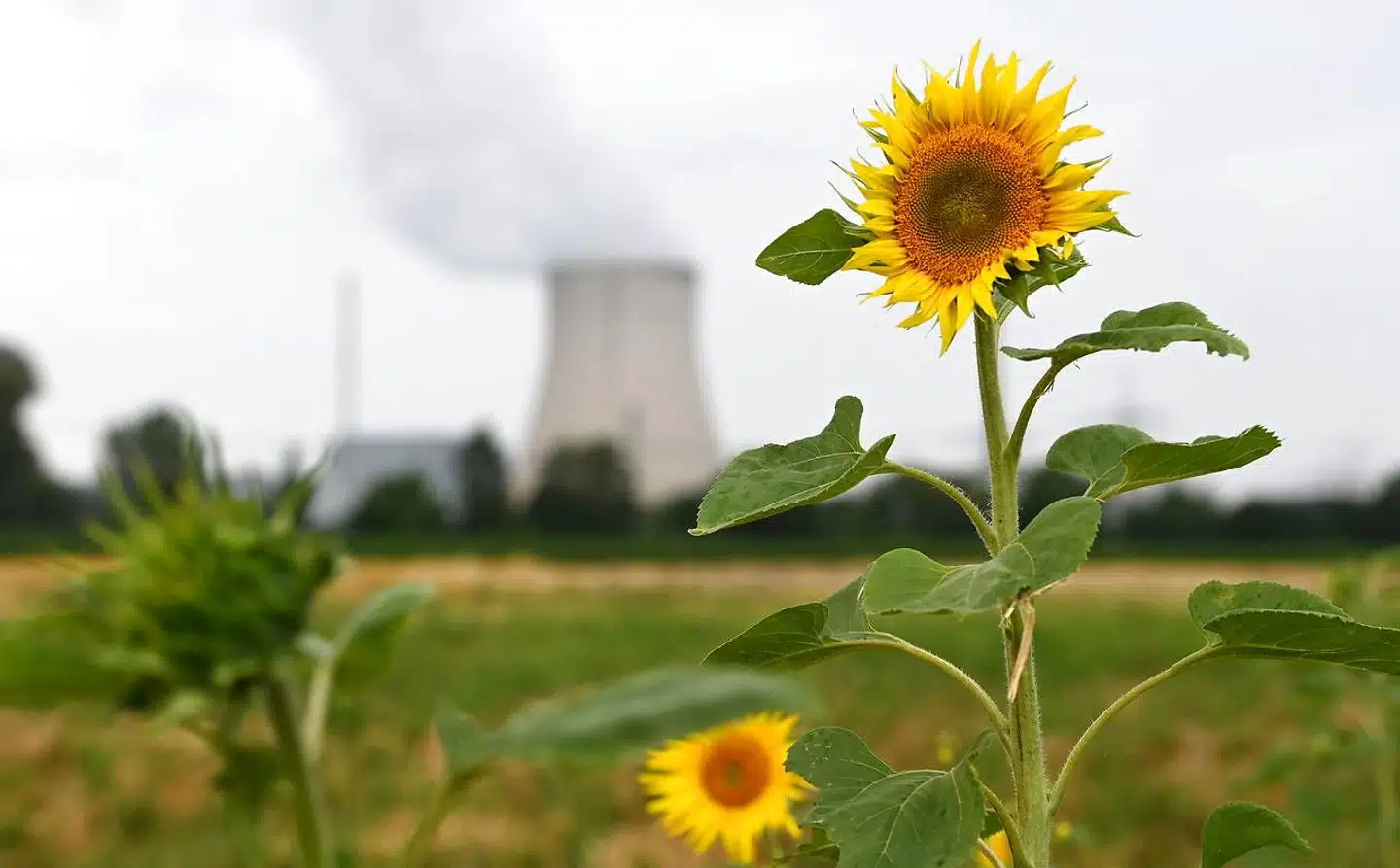 I Tyskland er det besluttet at lukke landets sidste tre atomkraftværker ved udgangen af i år. Den beslutning blev taget i lyset af, at landets energiforsyning ville være sikret med naturgas fra Rusland.