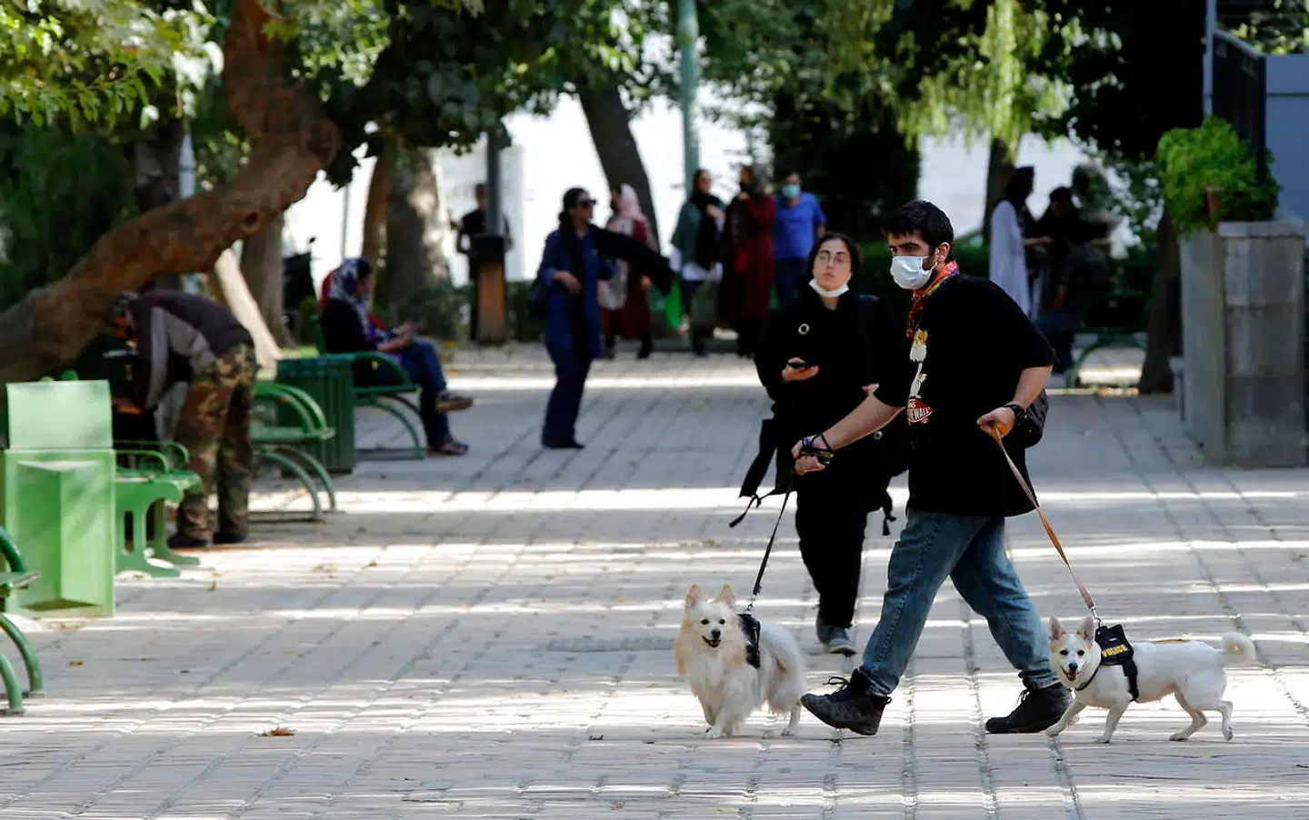 Det er snart forbi med nuttede kæledyr i Iran, hvis særlig lov træder i kraft.