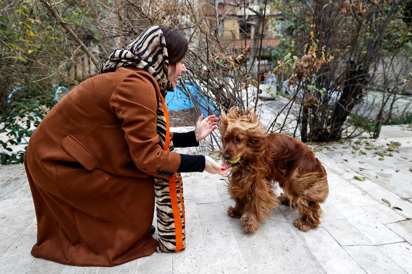 En iransk kvinde leger med sin hund ved sit hus i det nordlige Tehran. Det kan snart være forbi på grund af en ny lov, der vil gøre det vanskeligt at eje kæledyr i Iran.