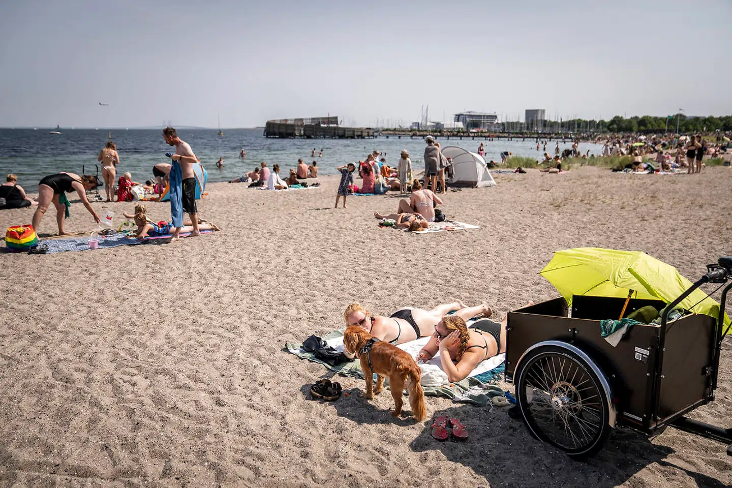 Anna Ablidskov og Signe Abildskov på stranden i Amager Strandpark sammen med hunden Balder, tirsdag den 19. juli 2022. Hedebølge rammer landet med temperaturer imellem 25 og 30 grader.. (Foto: Mads Claus Rasmussen/Ritzau Scanpix)