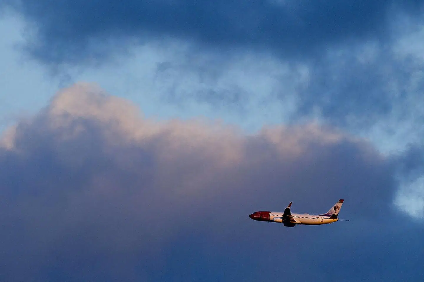 »Under alle omstændigheder har klimadebatten møvet sig ind i vores private liv. Hver gang du skruer på termostaten, hver gang du spiser en frikadelle og hver gang du sætter dig ind i din bil, kan din handling ses som et udtryk for din position i debatten,« skriver Amalie Lyhne.