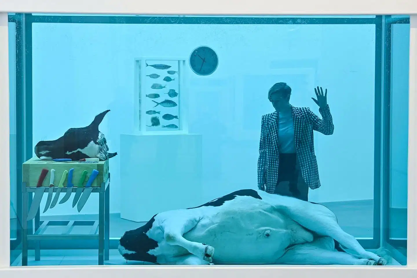 »The Beheading of John the Baptist« fra 2006 er et af Damien Hirsts værker – her udstillet på Gagosian King's Cross Gallery. Værket består af en død ko skåret i to dele og nedsænket i formalin. Arkivfoto: Justin Tallis/AFP/Ritzau Scanpix