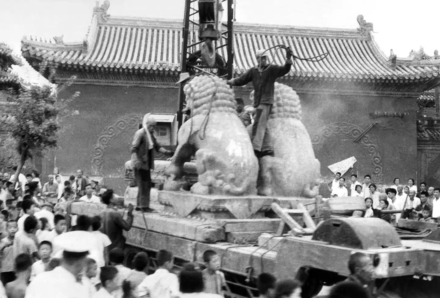 Kinesiske rødgardister flytter to antikke stenløver i Beijing i 1966. Man estimerer, at Kulturrevolutionen var skyld i, at godt 4.800 af Beijings i alt 6.000 vigtigste historiske monumenter med mere blev ødelagt. »Ødelæg den gamle verden,« var et populært slogan under revolutionen.