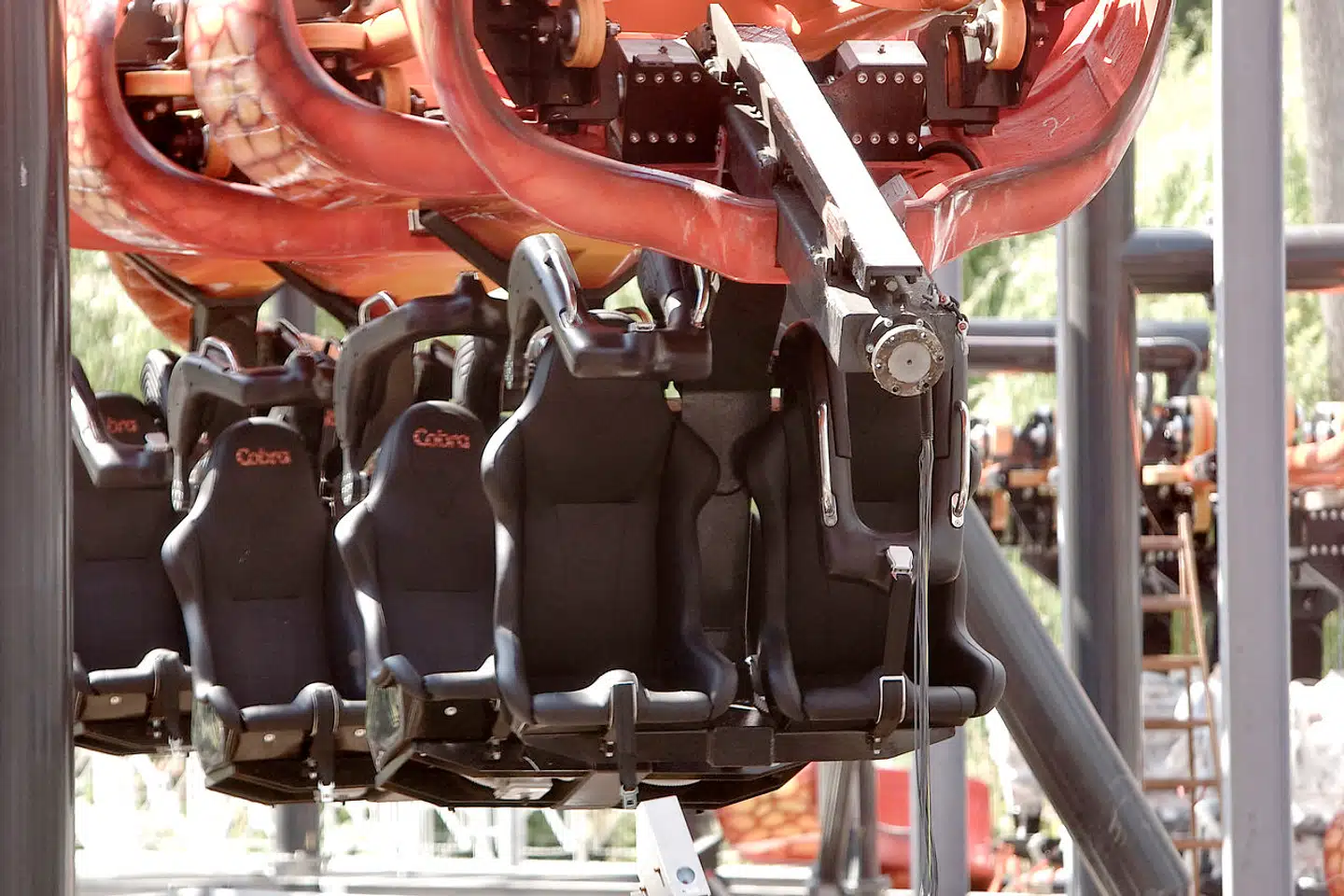 For knap 14 år siden viste en undersøgelse af firmaet Force Technology, at Cobra-rutsjebanen var født med alvorlige fejl – fejl, der efterfølgende blev udbedret.