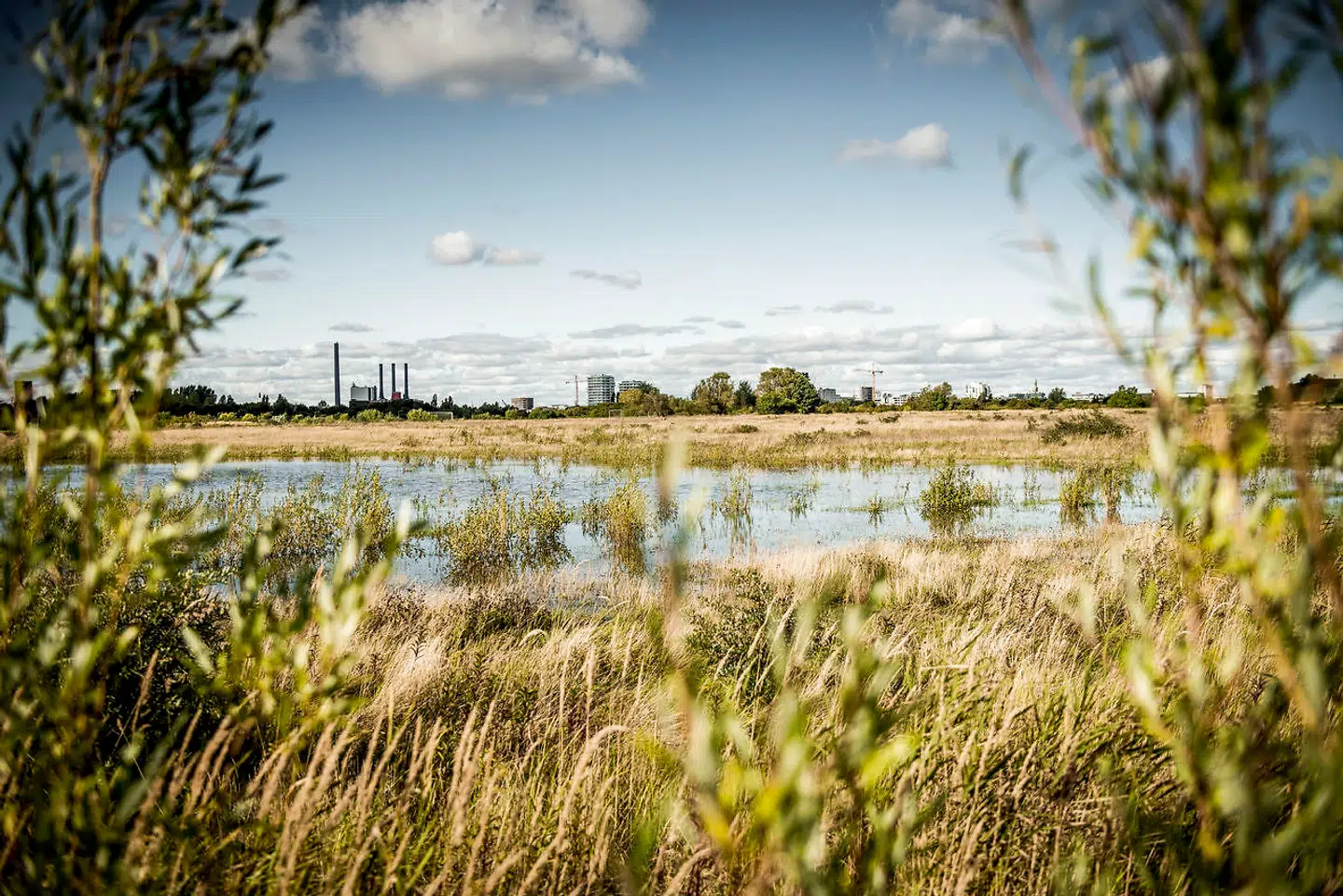 Borgere har længe forsøgt at få stoppet byggeriet på Amager Fælled og på Stejlepladsen ved Fiskerihavnen i Sydhavnen. Nu har Planklagenævnet taget stilling til sidstnævnte.