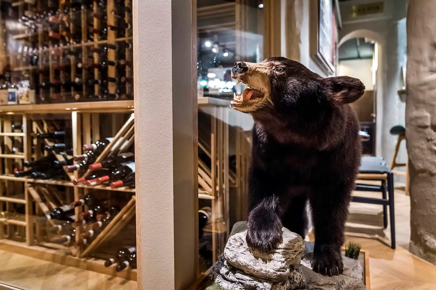 Det siges, at der i kælderen Frederiksberg Allé 55 engang boede en bjørnetæmmer med hans tamme bjørn, som han gik tur med i Frederiksberg Have. Siden har lokalerne ved Betty Nansen Teatret fungeret som værtshus og restauration, og nu er Bjørnekælderen optaget i Michelin-guiden under kategorien »Bib Gourmand«.