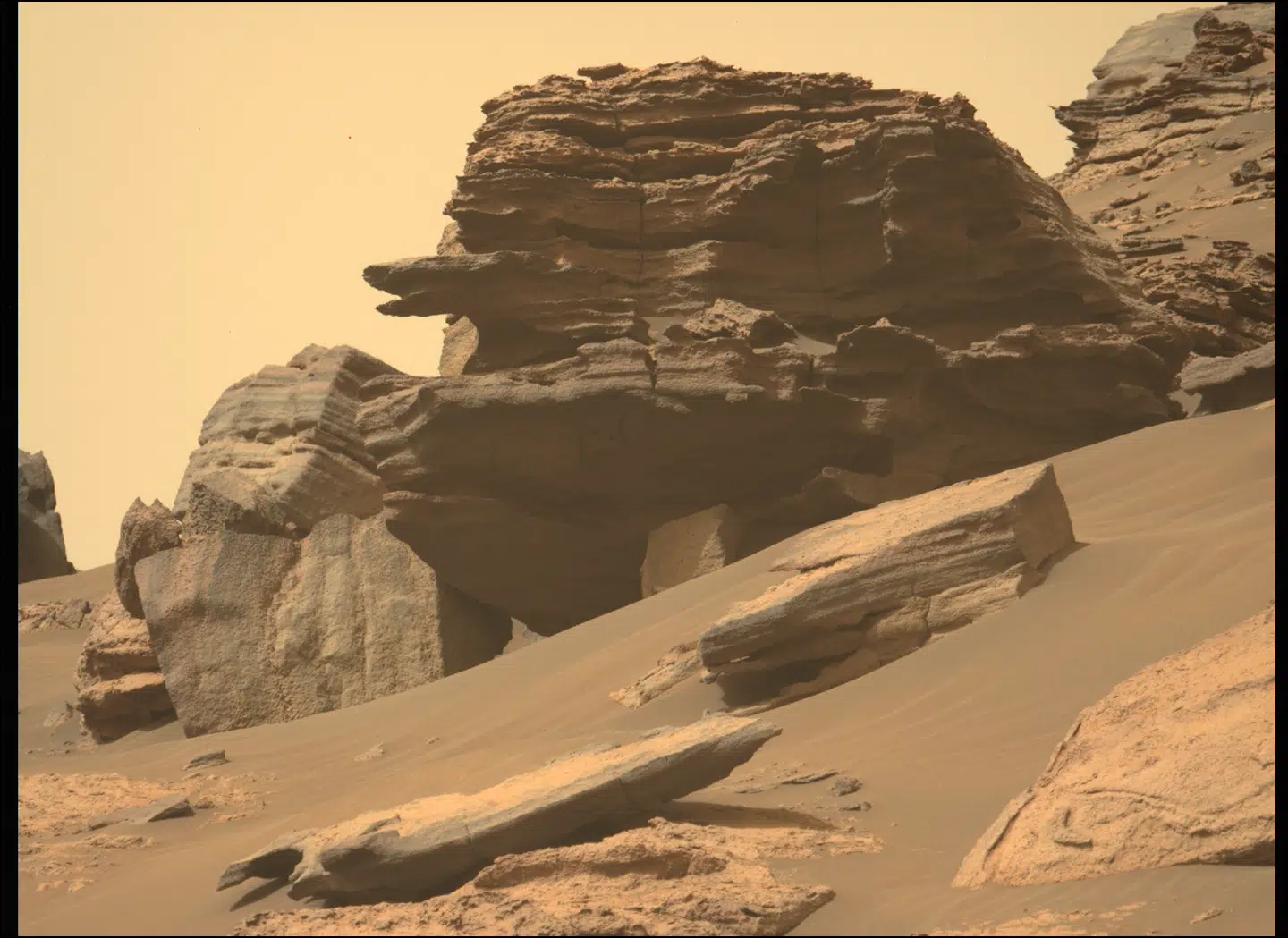 Er det et rumuhyre eller en slange? Nej, det er blot tidens tand og geologiske tilfældigheder, der har skabt dette slangelignende klippefremspring, som 12. juni blev foreviget af et mastekamera på marsroveren »Perseverance«.