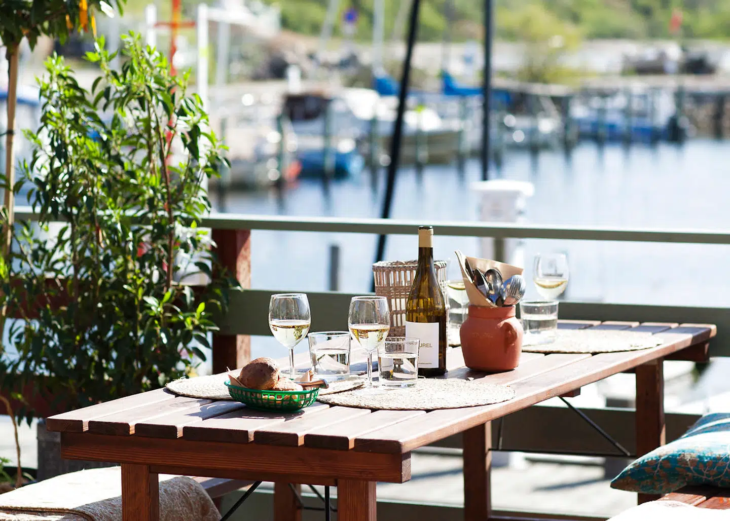 Fasangårdens Taverna ligger ud til vandet i Lynæs, som er blevet et populært udflugtsmål de senere år. Her kan man de næste seks uger spise retter inspireret af det græske køkken.