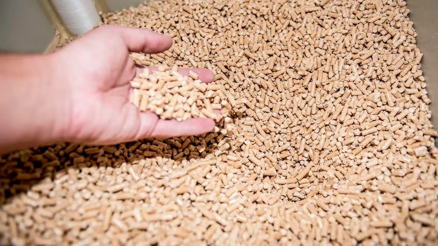 Energistyrelsen forventer, at prisen på træpiller stiger.