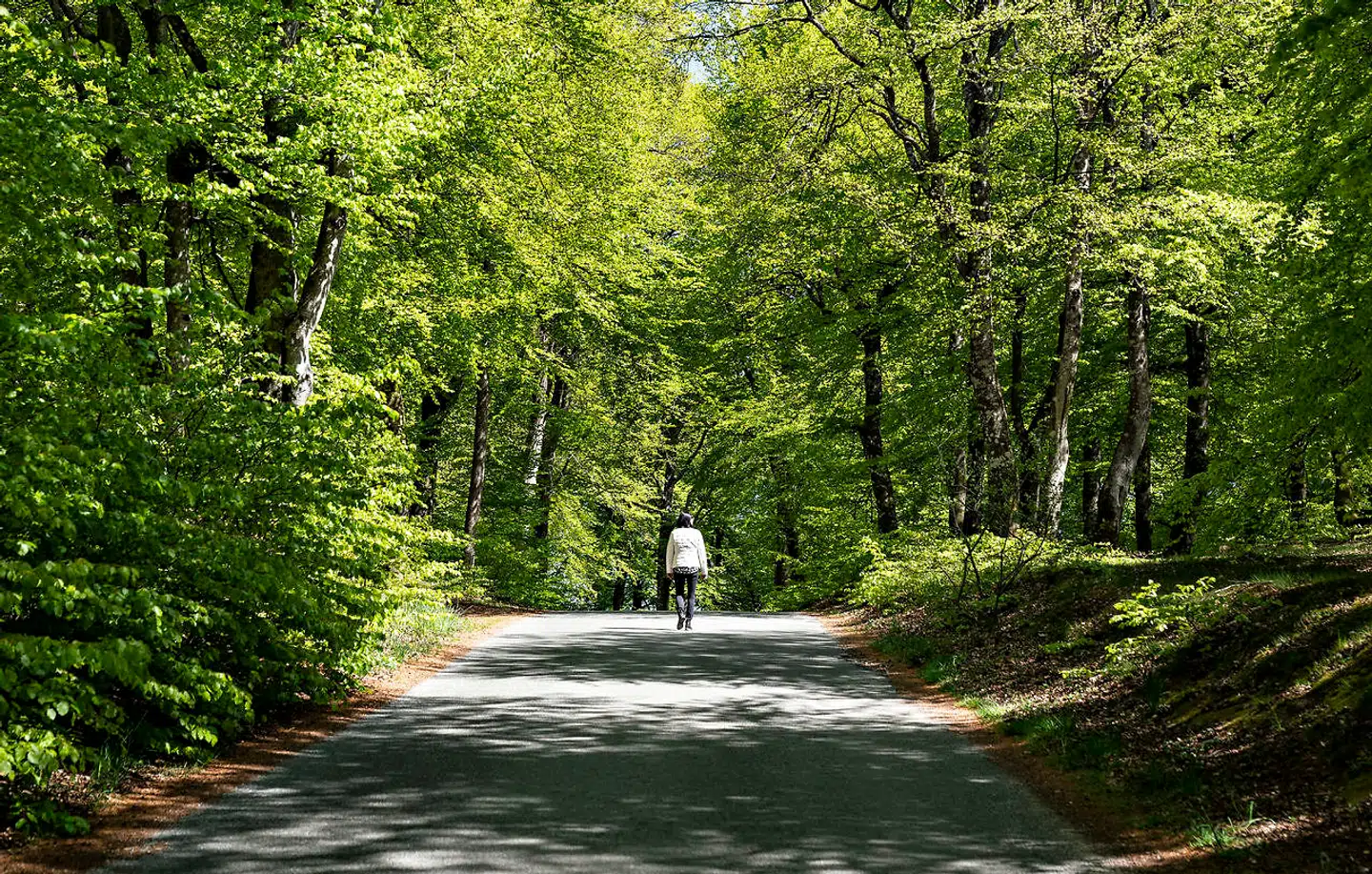 For at føje spot til skade vil Danmark skulle købe tilsvarende mere træ i udlandet, hvor de så skal fælde mere træ. Man må da ikke håbe vi kommer til at fremstå som »foregangsland« på dette område, skriver Anker Jacobsen.