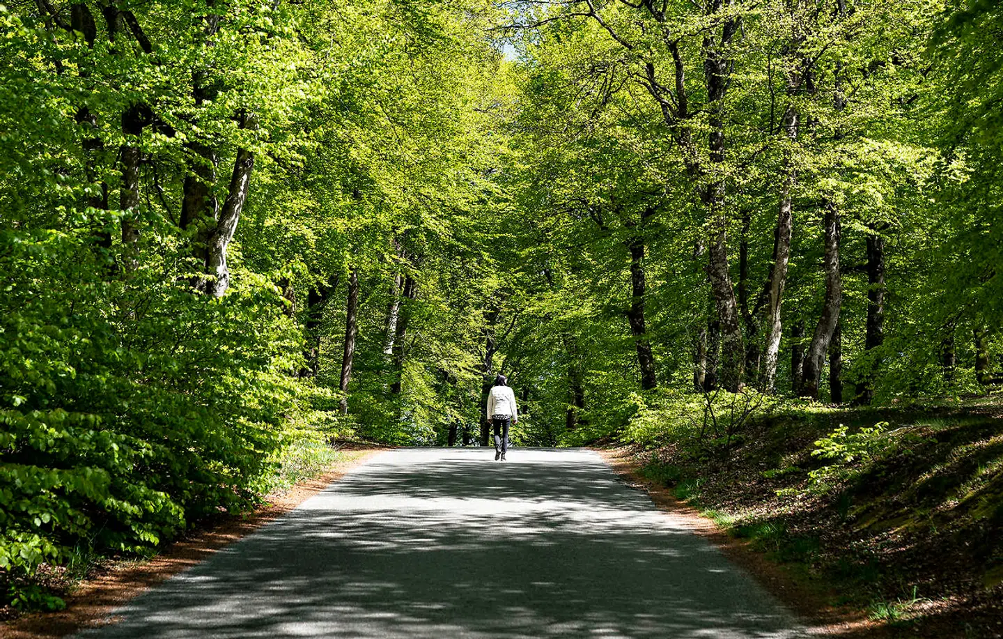 For at føje spot til skade vil Danmark skulle købe tilsvarende mere træ i udlandet, hvor de så skal fælde mere træ. Man må da ikke håbe vi kommer til at fremstå som »foregangsland« på dette område, skriver Anker Jacobsen.