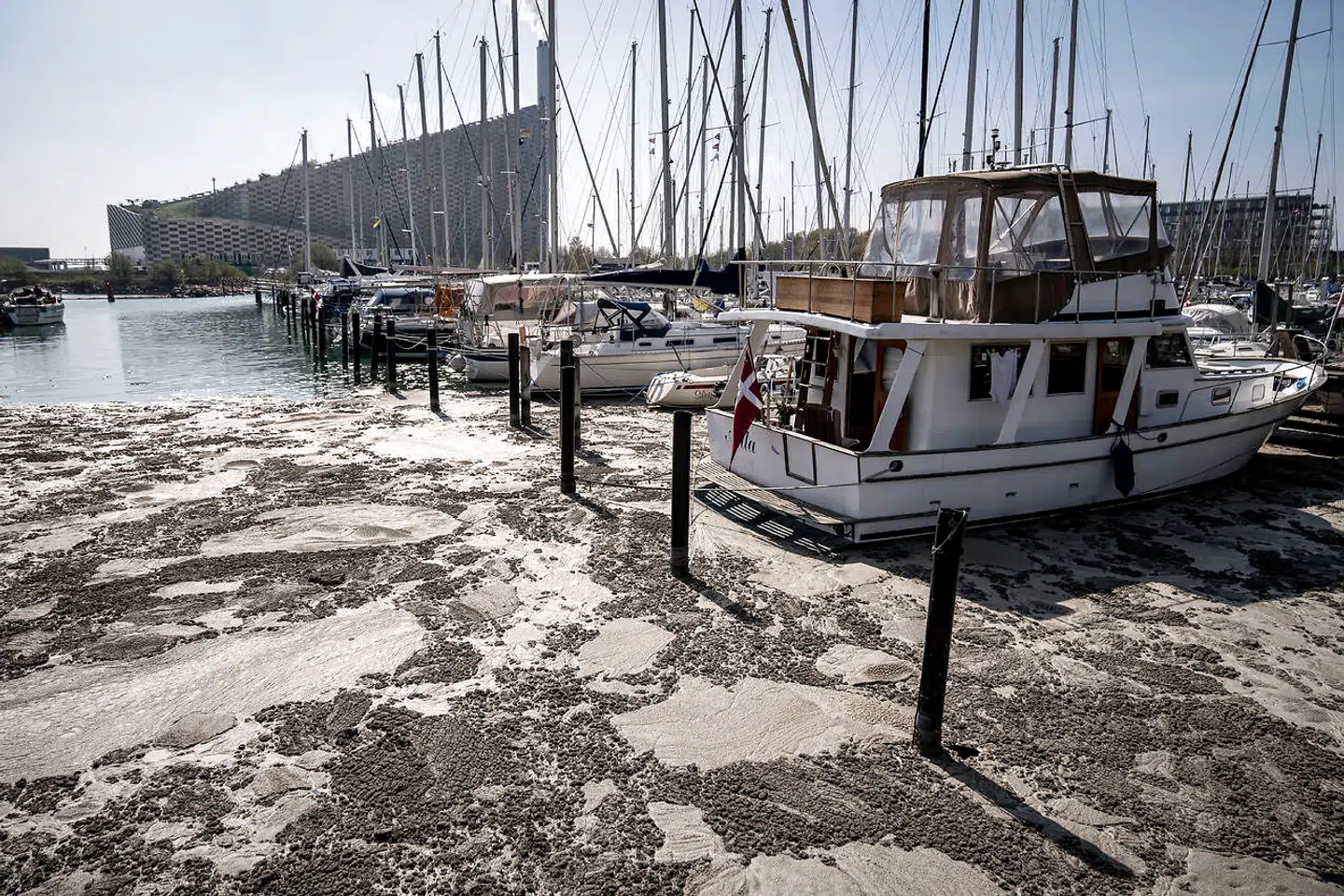 Det grå skum lægger sig som en dyne på vandet. Det får flere bådejere til at lade båden ligge stille. De er blandt andet bange for, at skummet ødelægger køleren i bådens motor.