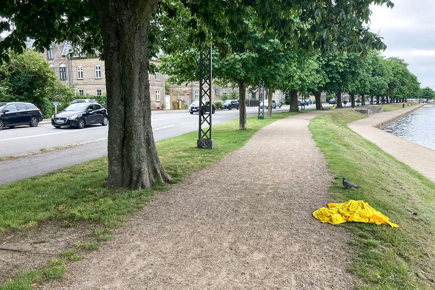 Københavns Kommune er godt i gang med at varme op til, at cykelrytterne i Tour de France for første gang nogensinde skal ræse igennem København. Men kort efter at en række træer langs ruten er pyntet op, er det ødelagt igen. Det er ærgerligt, siger Københavns Kommune.