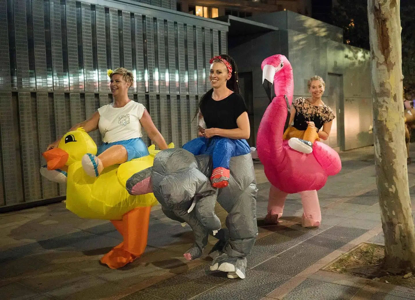 Disse britiske turister klædt ud som badedyr kan godt glemme alt om at få bord på de restauranter, der har tilsluttet sig de nye regler om dresscode.