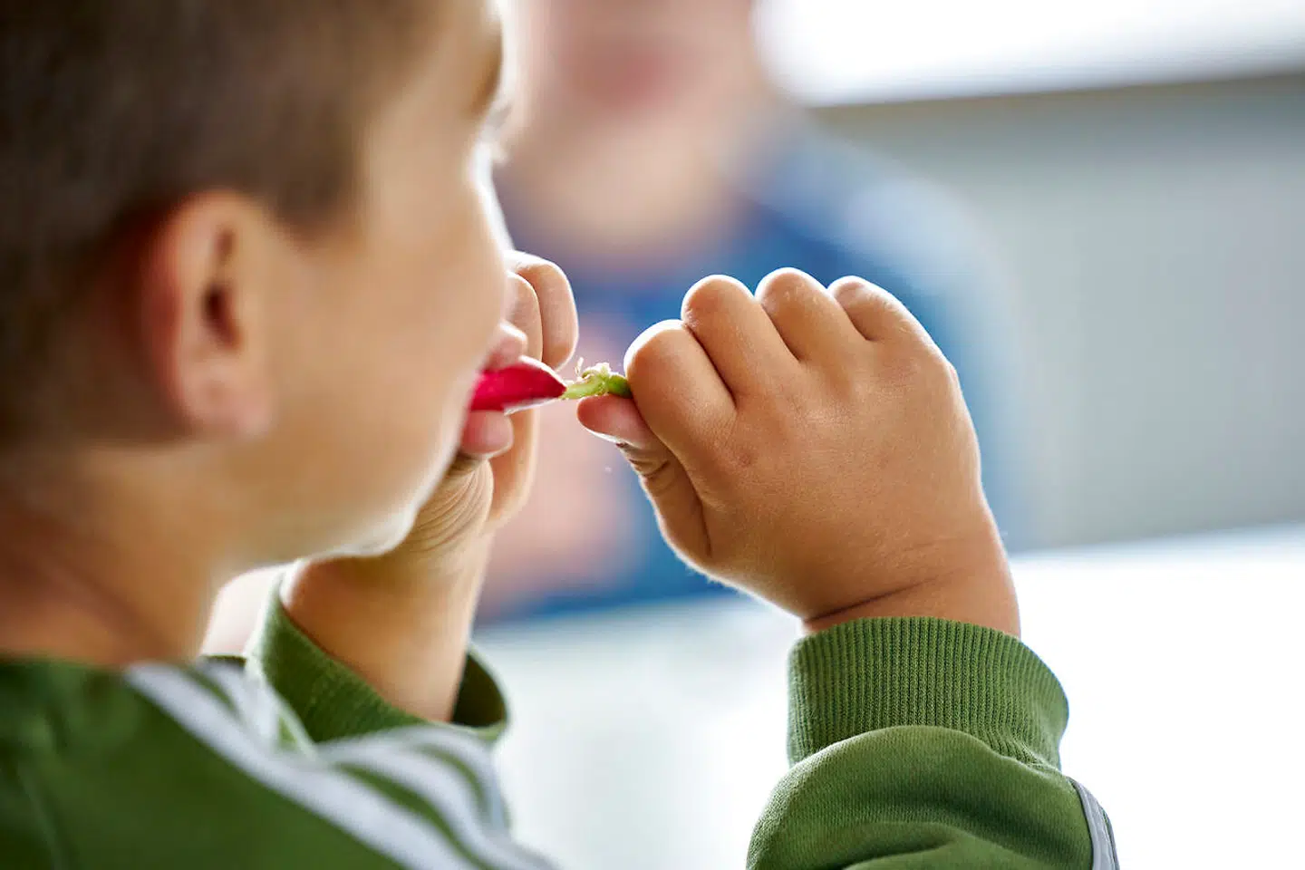 Dansk Vegetarisk Forening fører nu sager på vegne af fire forskellige borgere og familier.