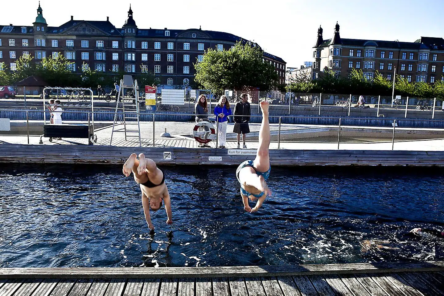 Københavnerne får flere og flere muligheder for at bade i havnen. Her ved havnebadet på Islands Brygge.