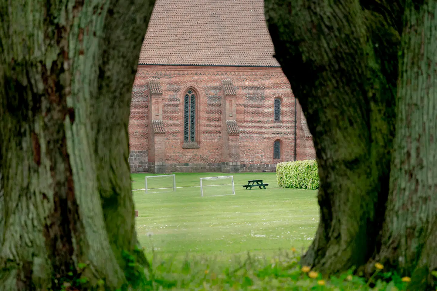 En undersøgelse, som bestyrelsen på Herlufsholm har sat i værk, ventes at være færdig 1. oktober.