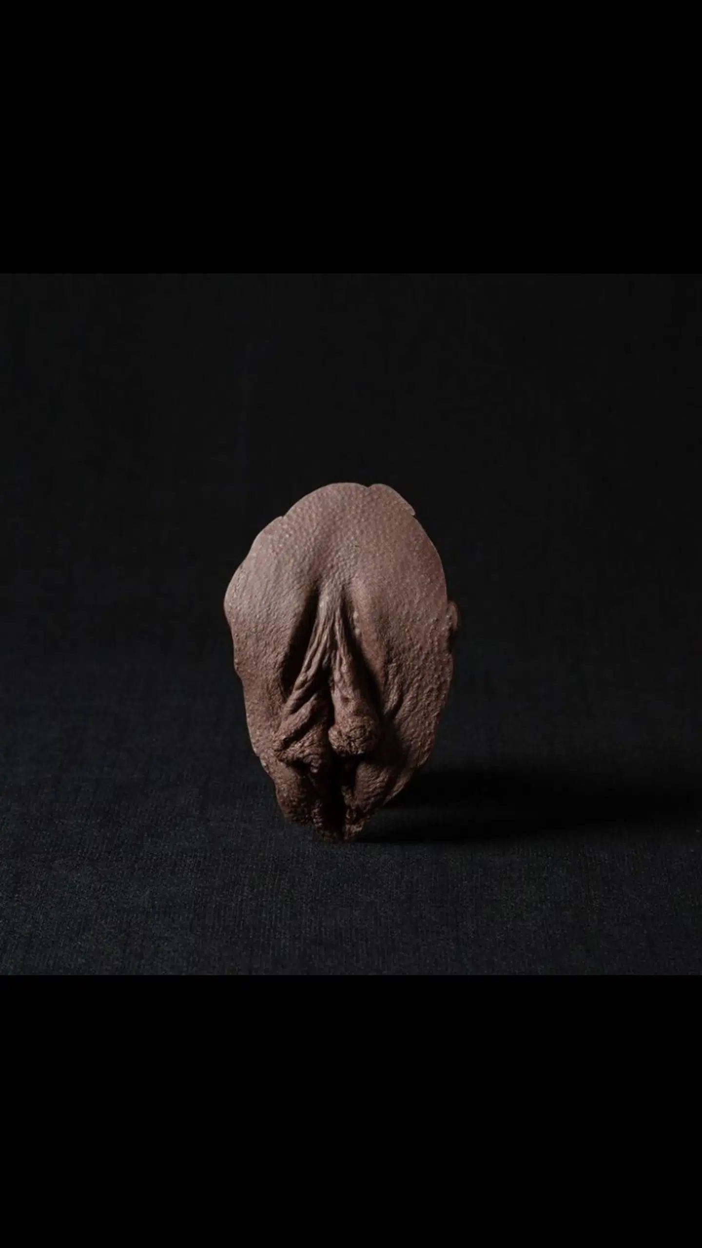 Chokolade vulva. Foto: Caroline Prange