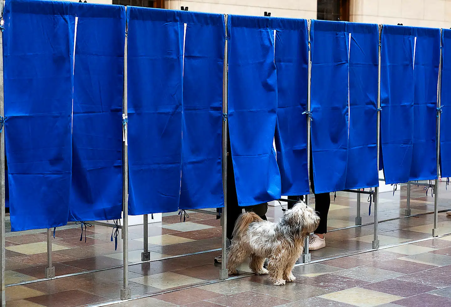 Afstemningen på Københavns Rådhus.